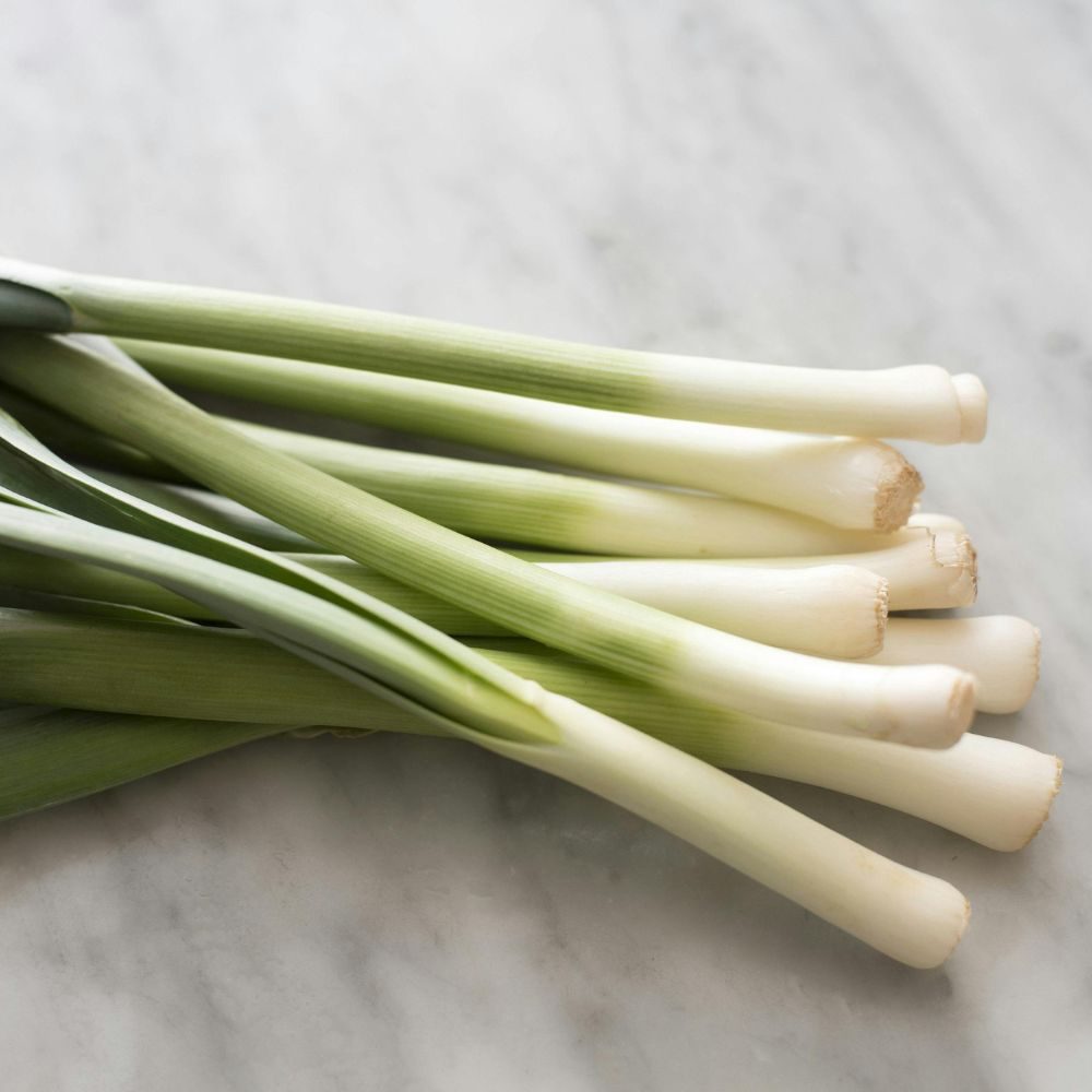 Een bos jonge bosuitjes ligt in een losse rij, witte onderkanten met afgesneden worteleinden en groene stelen zichtbaar, op een lichtgrijs marmeren werkblad.
