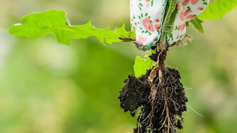 onkruid-pot-grind onkruid-pot-grind