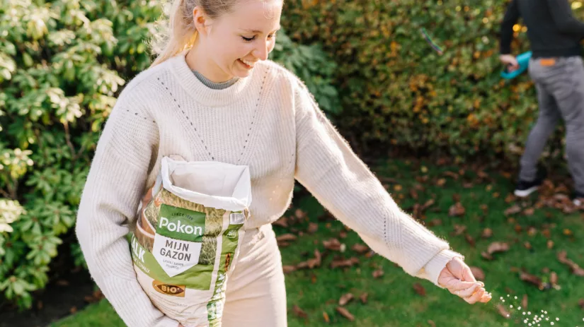 Kalk tegen mos in het gazon Kalk tegen mos in het gazon