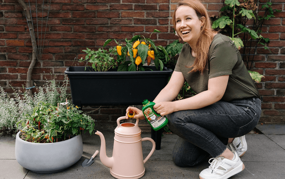 Moestuin bemesten