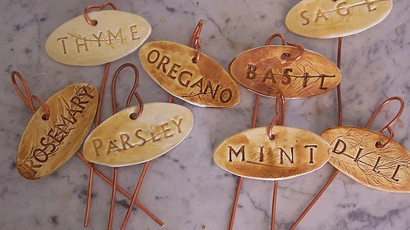 plantensteker plantensteker