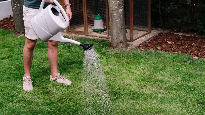 MarloesNiemeijerFotografie-160.jpg Bodeminsecten bestrijden