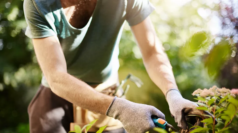 Tuinklussen die je in april kan doen Tuinklussen die je in april kan doen