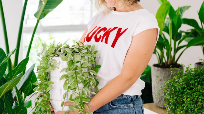 Vakantie en kamerplanten: hoe doe je dat als je weggaat? Vakantie en kamerplanten: hoe doe je dat als je weggaat?