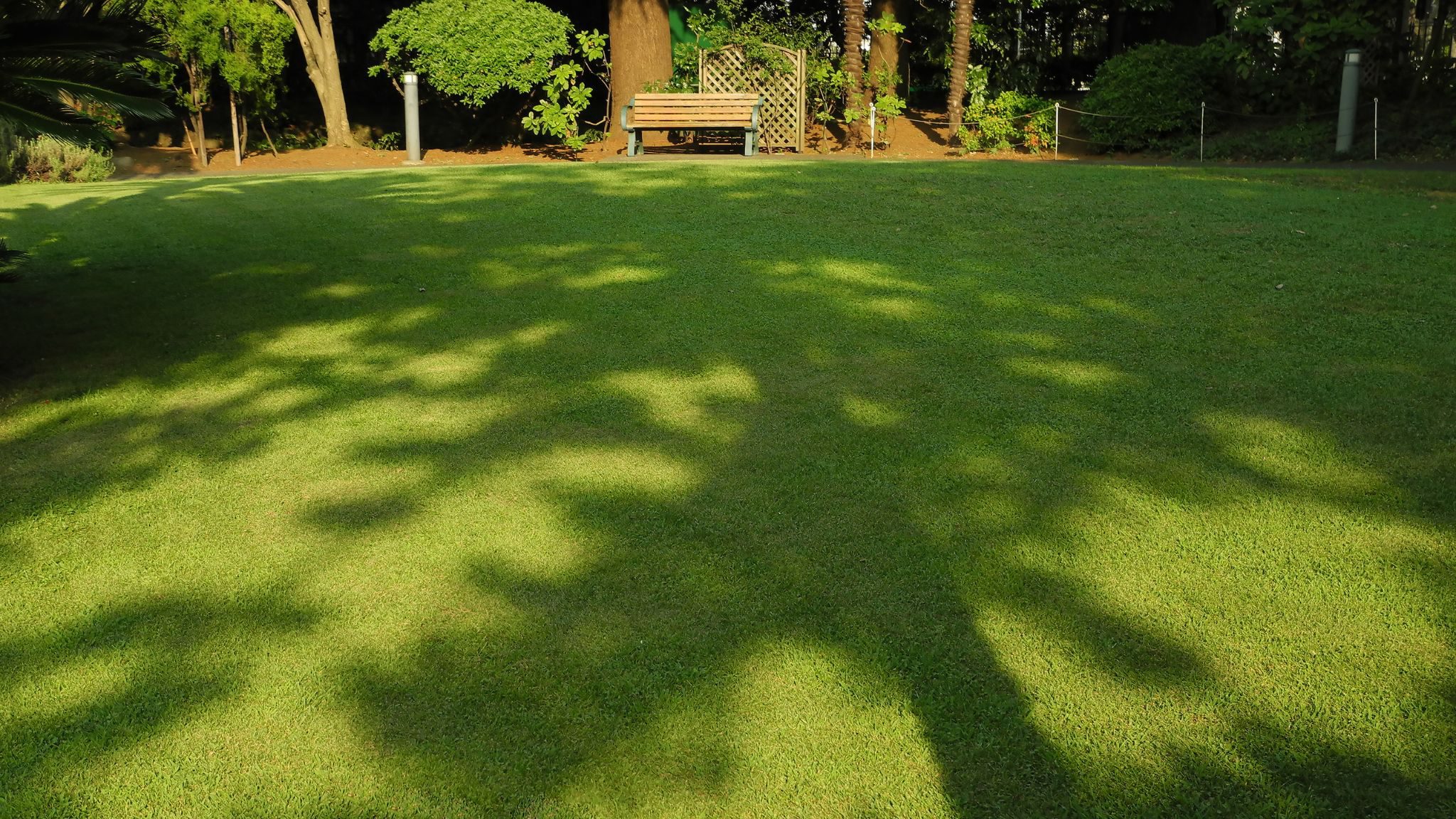 Tips om je schaduwgazon mooi te houden