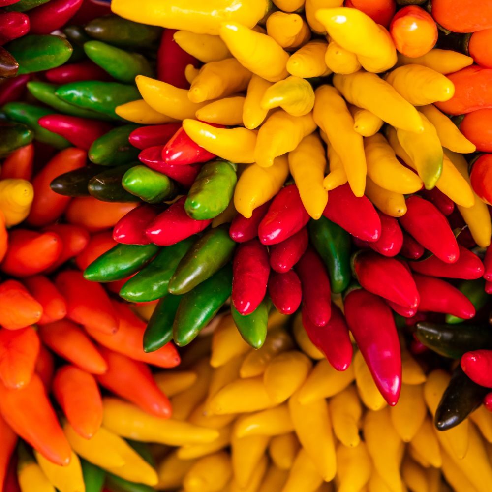 Gekleurde chilipepers liggen dicht op elkaar, in bundels met spitse uiteinden naar buiten, in levendige rood-, geel-, groen- en oranje tinten.