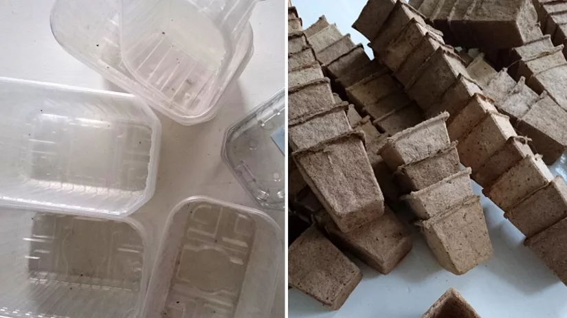 floor-foto2-zaaibakjes floor-foto2-zaaibakjes