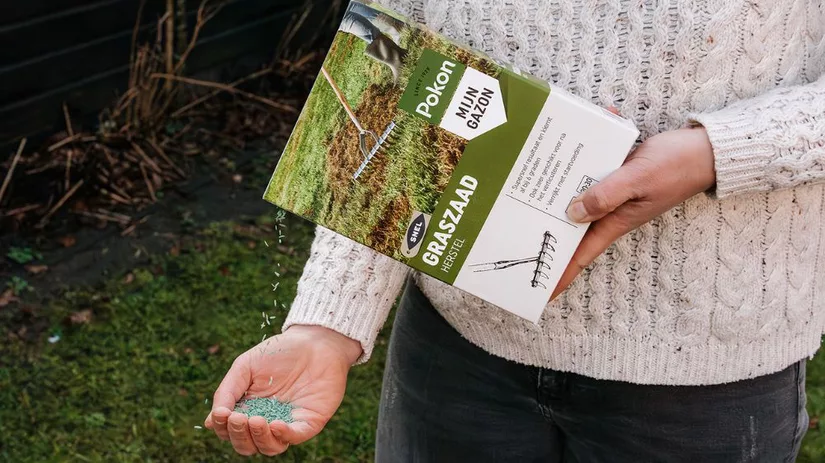 Gras zaaien temperatuur: de beste omstandigheden Gras zaaien temperatuur: de beste omstandigheden