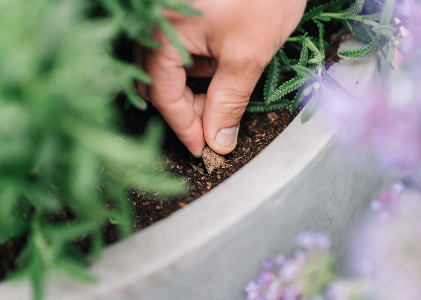 Welke voedingsstoffen heeft een plant nodig?