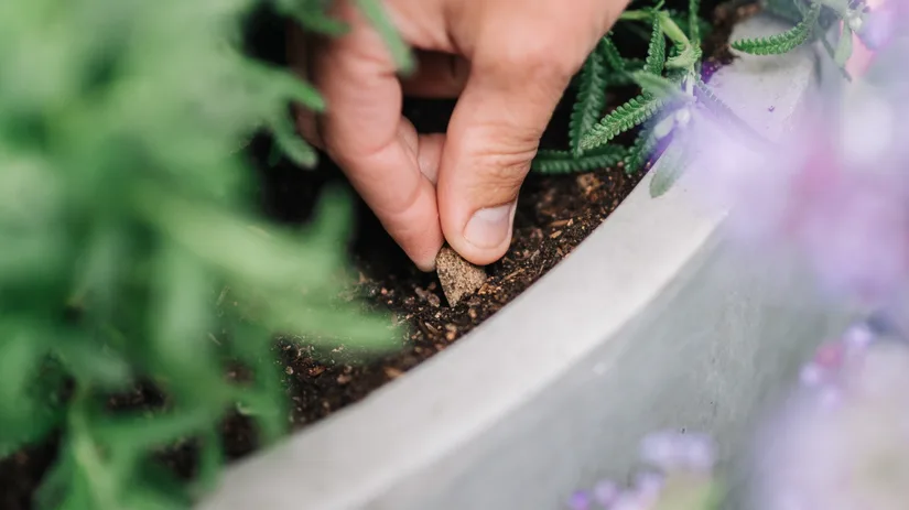 Welke voedingsstoffen heeft een plant nodig? Welke voedingsstoffen heeft een plant nodig?