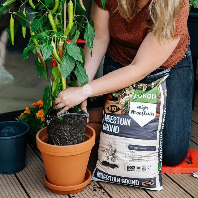 Compo Sana Biologische Universele Potgrond – 40 Liter, Turfvrij, Met Guano En Compost – Voor Binnen- En Buitenplanten