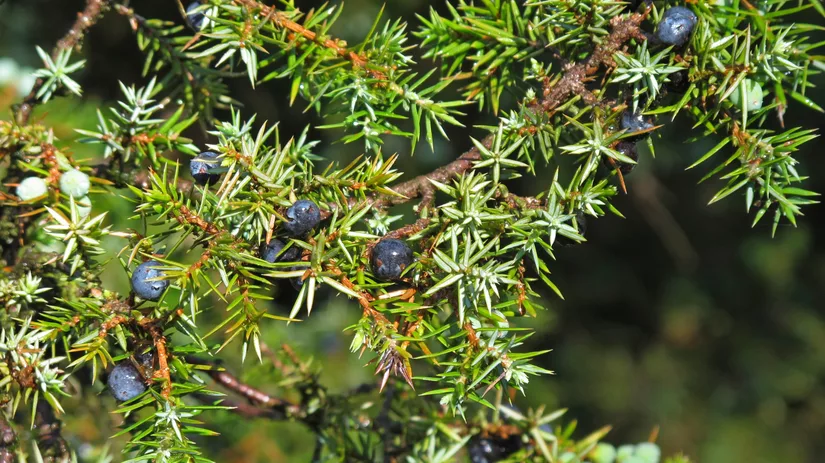 Feest op je terras Feest op je terras