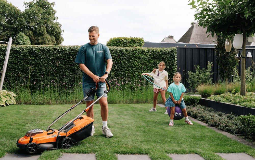 Gazon in de zomer