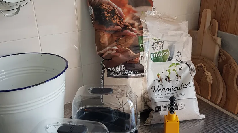 binnen zaaien binnen zaaien