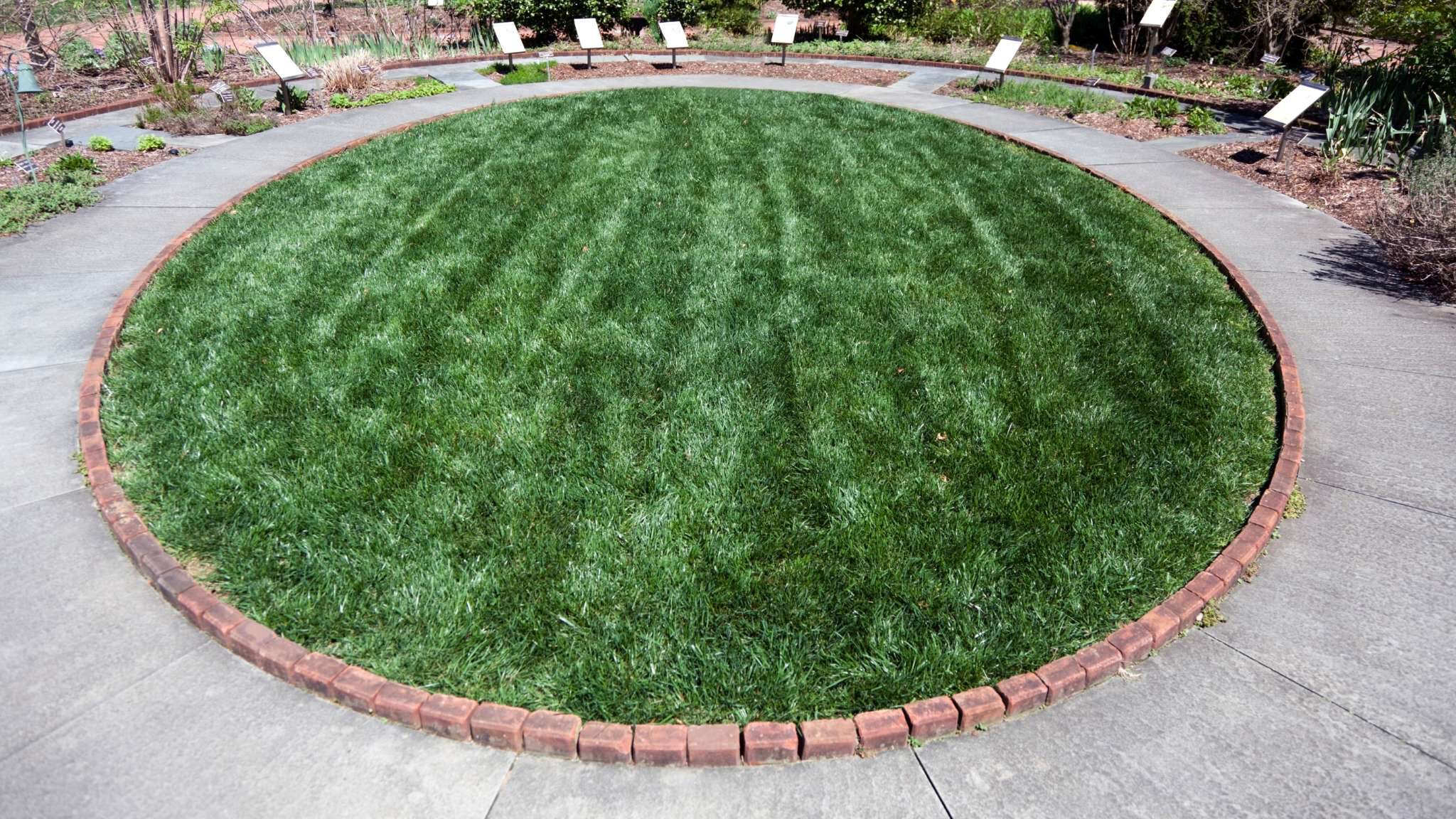 Een gazon met ronde vormen