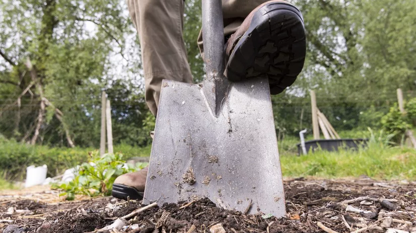 moestuingrond bewerken moestuingrond bewerken