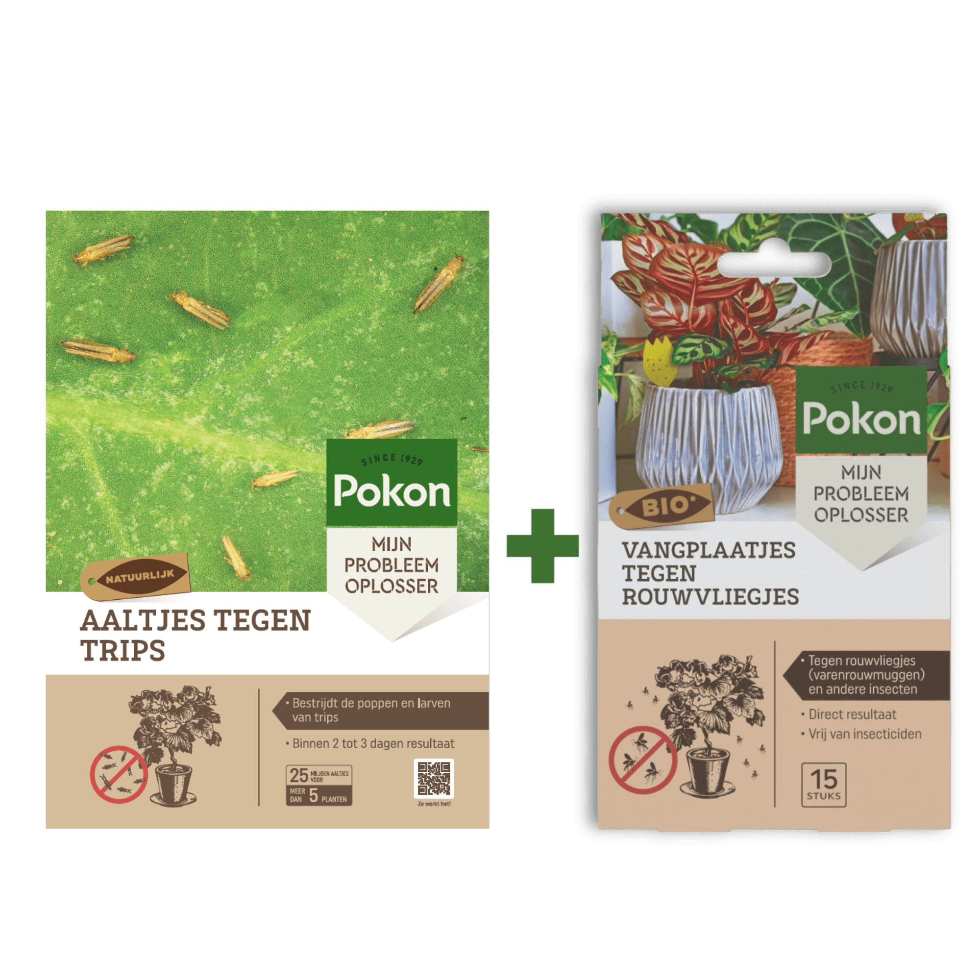 Pakjes plantverzorging: links een groen doosje met aaltjes tegen trips, rechts een kleiner blisterpak met gele vangplaatjes tegen rouwvliegjes, beide afgebeeld op een effen achtergrond.

Gevonden tekst (transcriptie):
- Pokon
- SINCE 1929
- MIJN PROBLEEM 