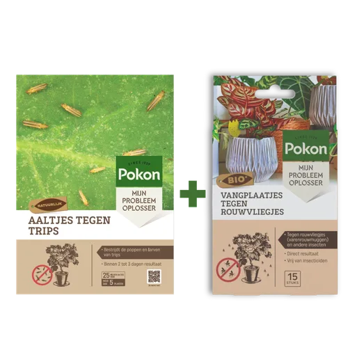 Pakjes plantverzorging: links een groen doosje met aaltjes tegen trips, rechts een kleiner blisterpak met gele vangplaatjes tegen rouwvliegjes, beide afgebeeld op een effen achtergrond.
Gevonden tekst (transcriptie):
- Pokon
- SINCE 1929
- MIJN PROBLEEM