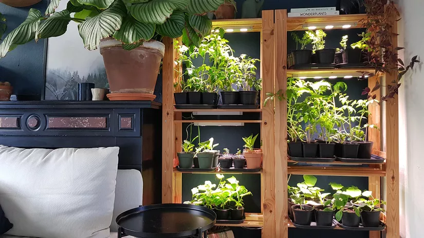 Mei in de moestuin Mei in de moestuin