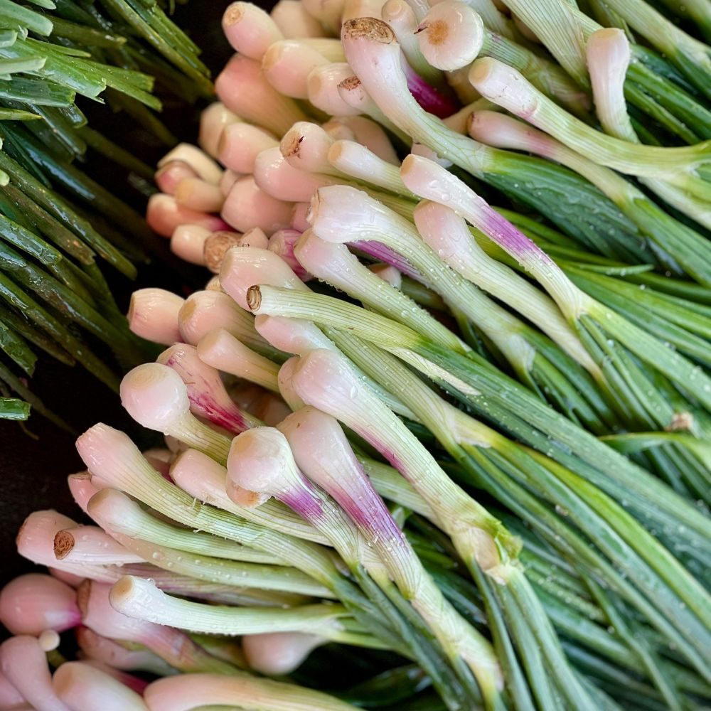 Kleine roze-witte bosuitjes liggen dicht op elkaar gebundeld, met dauwdruppels op de groene stelen, gefotografeerd als close-up in een markt- of groentepresentatie.