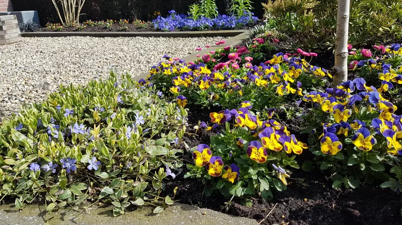 Maak je tuin lenteklaar Maak je tuin lenteklaar
