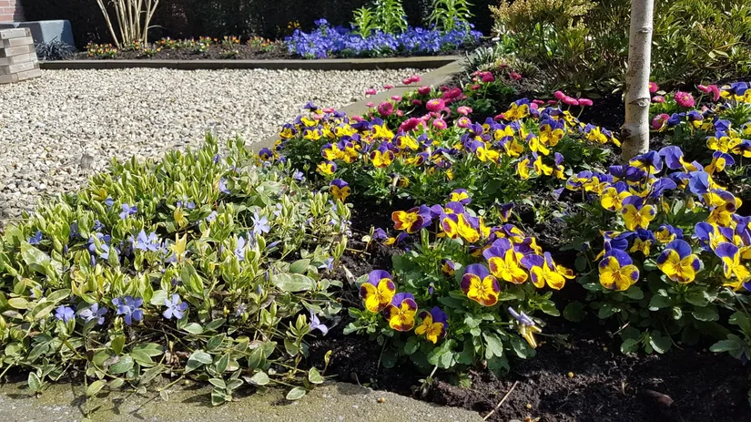 Maak je tuin lenteklaar Maak je tuin lenteklaar
