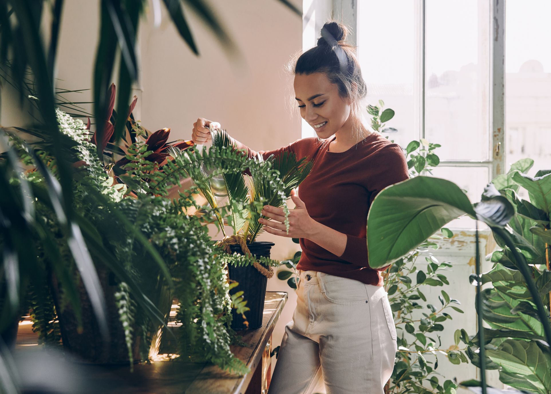 Kamerplanten verzorging in de herfst en winter 