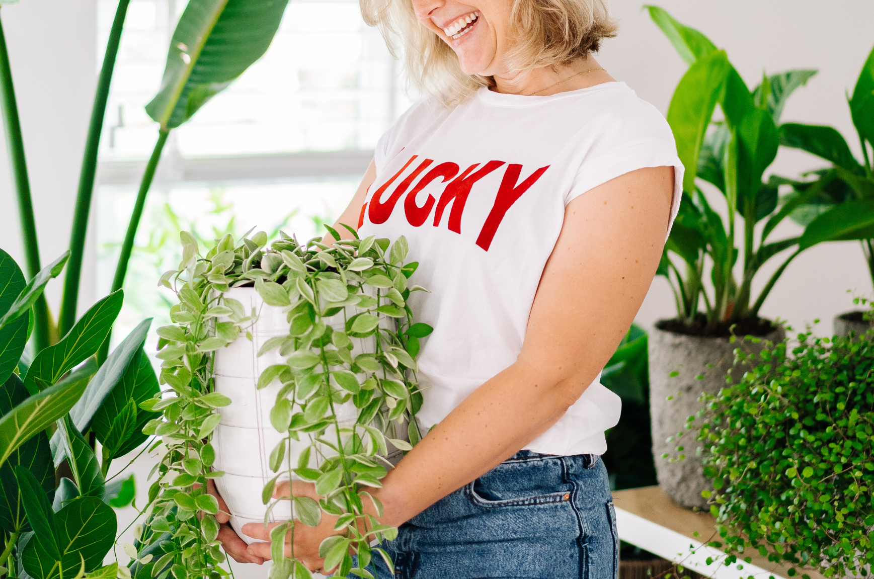 Kamerplanten in de zomer