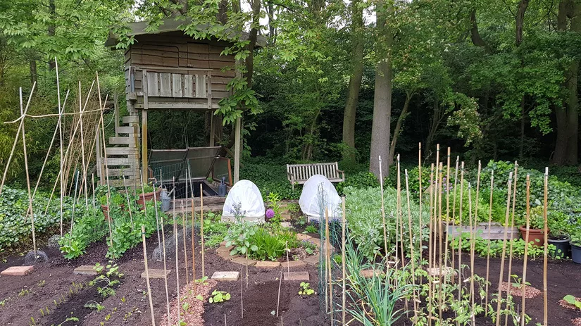 Moestuinplanten verzorgen en voeden Moestuinplanten verzorgen en voeden