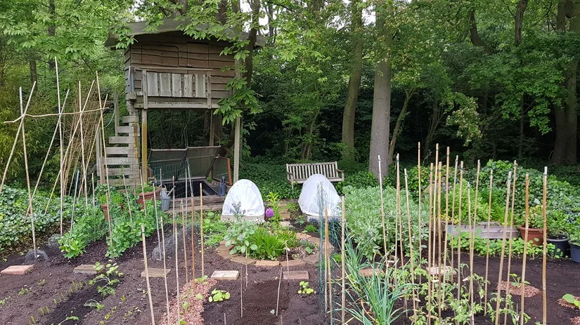 Moestuinplanten verzorgen en voeden Moestuinplanten verzorgen en voeden