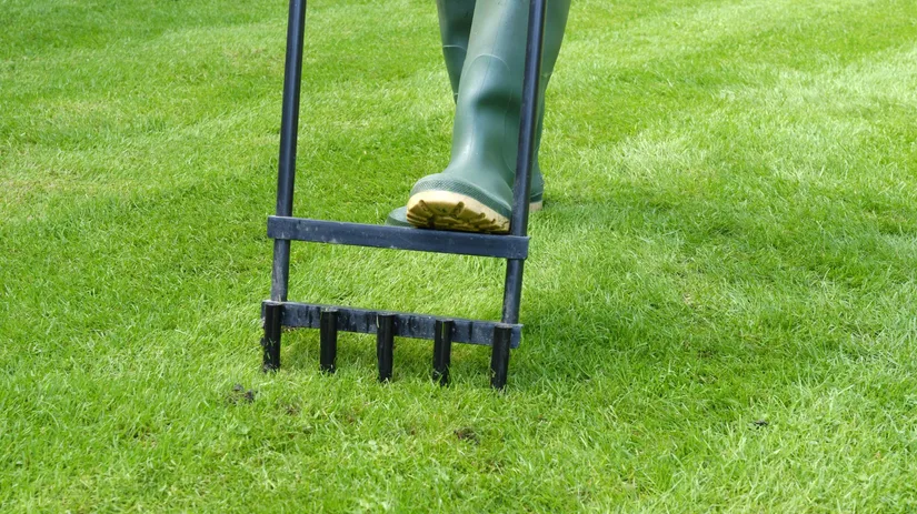 Het beluchten van je gazon: waarom en hoe? Het beluchten van je gazon: waarom en hoe?