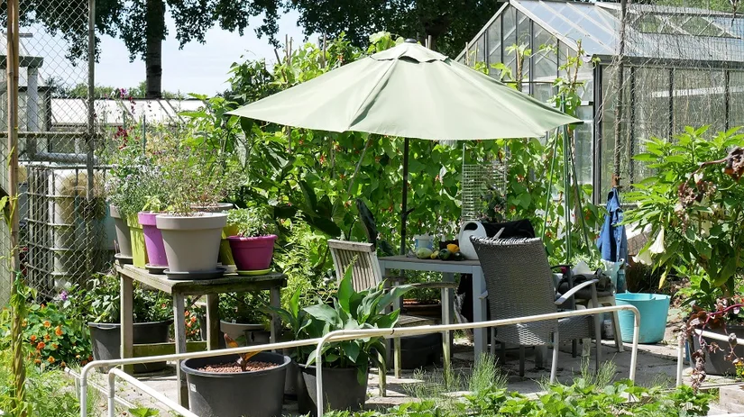 moestuin moestuin