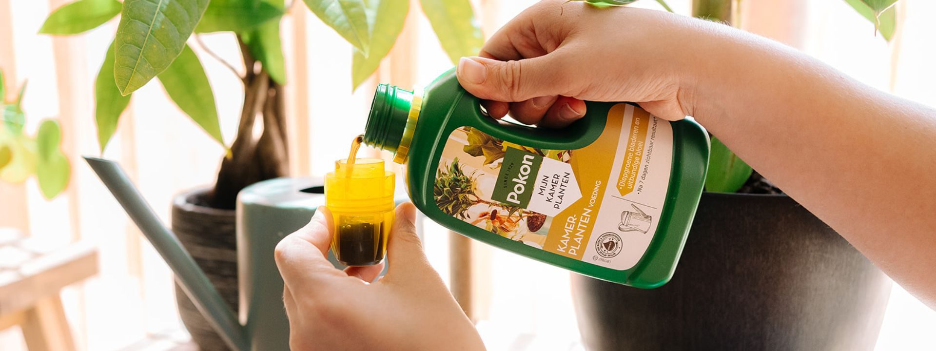 Pokon voedingskegels