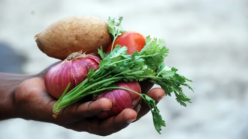 3x recepten met jouw zelfgekweekte groenten en fruit 3x recepten met jouw zelfgekweekte groenten en fruit