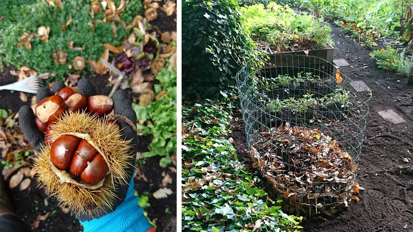 floor-header-herfst-in-de-moestuin floor-header-herfst-in-de-moestuin