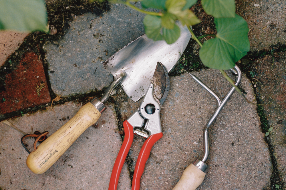 Moestuin gereedschap om mee te beginnen!