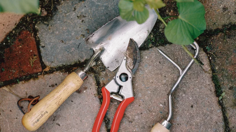Moestuin gereedschap om mee te beginnen! Moestuin gereedschap om mee te beginnen!